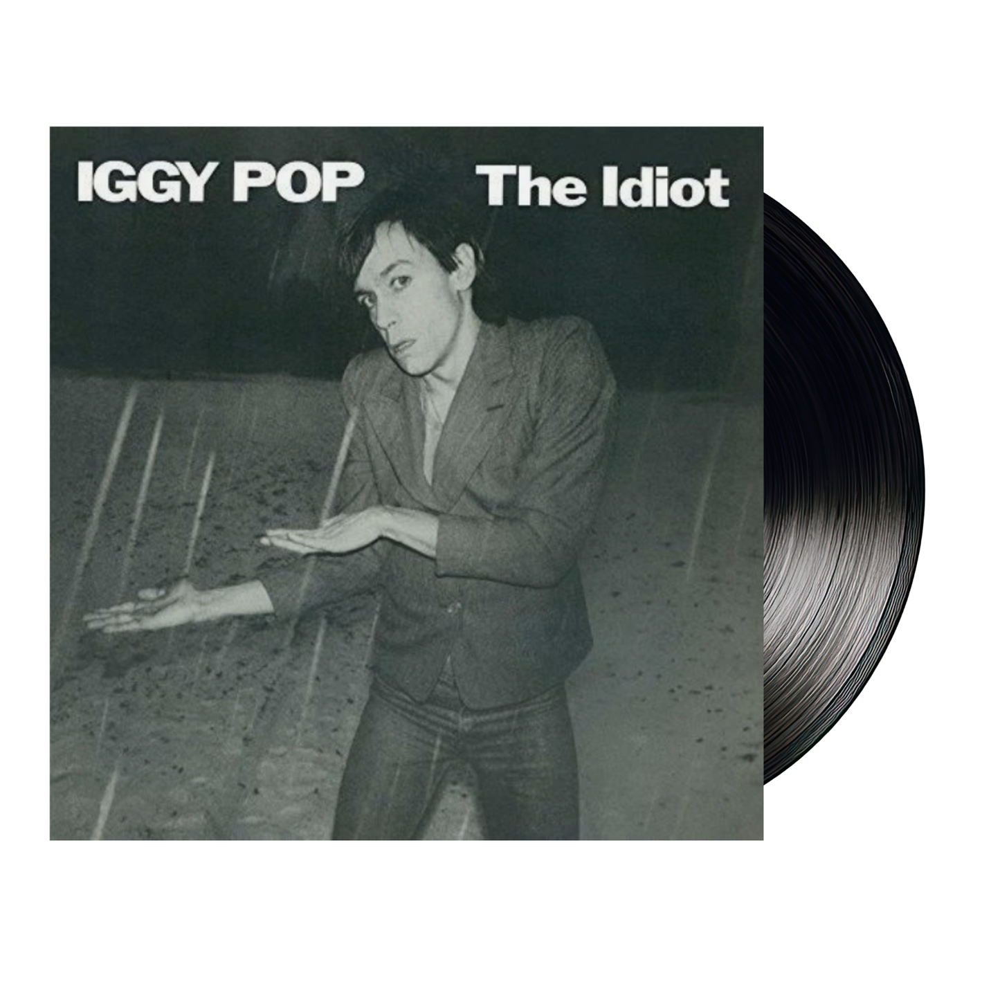 The Idiot - Iggy Pop