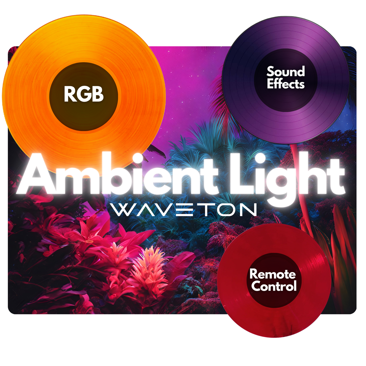 Turntables & Accessories
