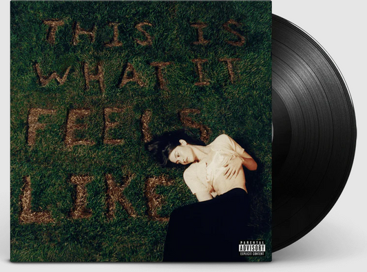 THIS IS WHAT IT FEELS LIKE (X) - Gracie Abrams