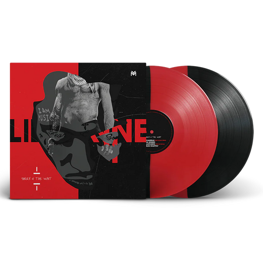 Sorry 4 The Wait - Lil Wayne