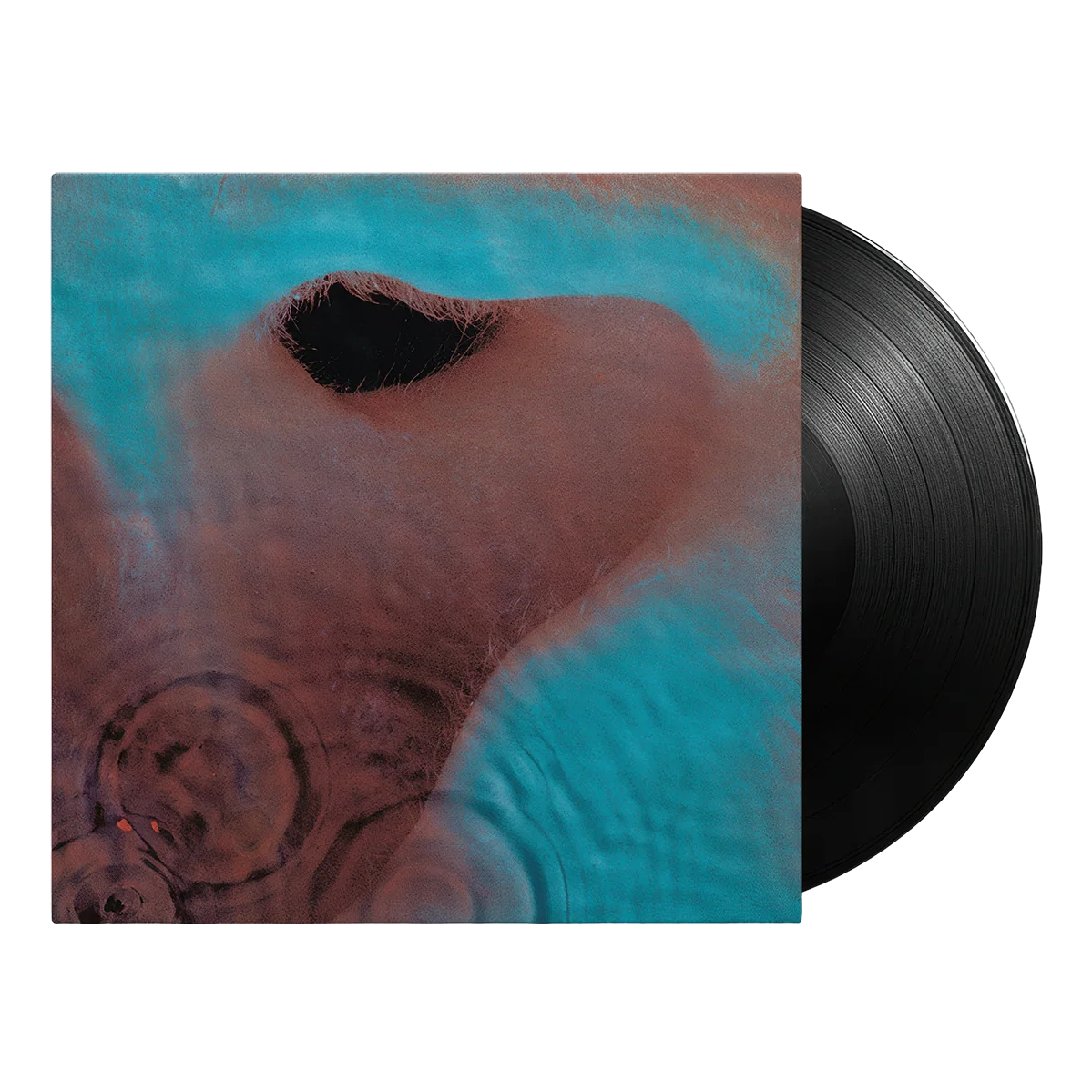Meddle - Pink Floyd