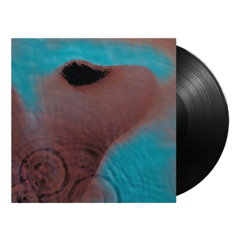 Meddle - Pink Floyd